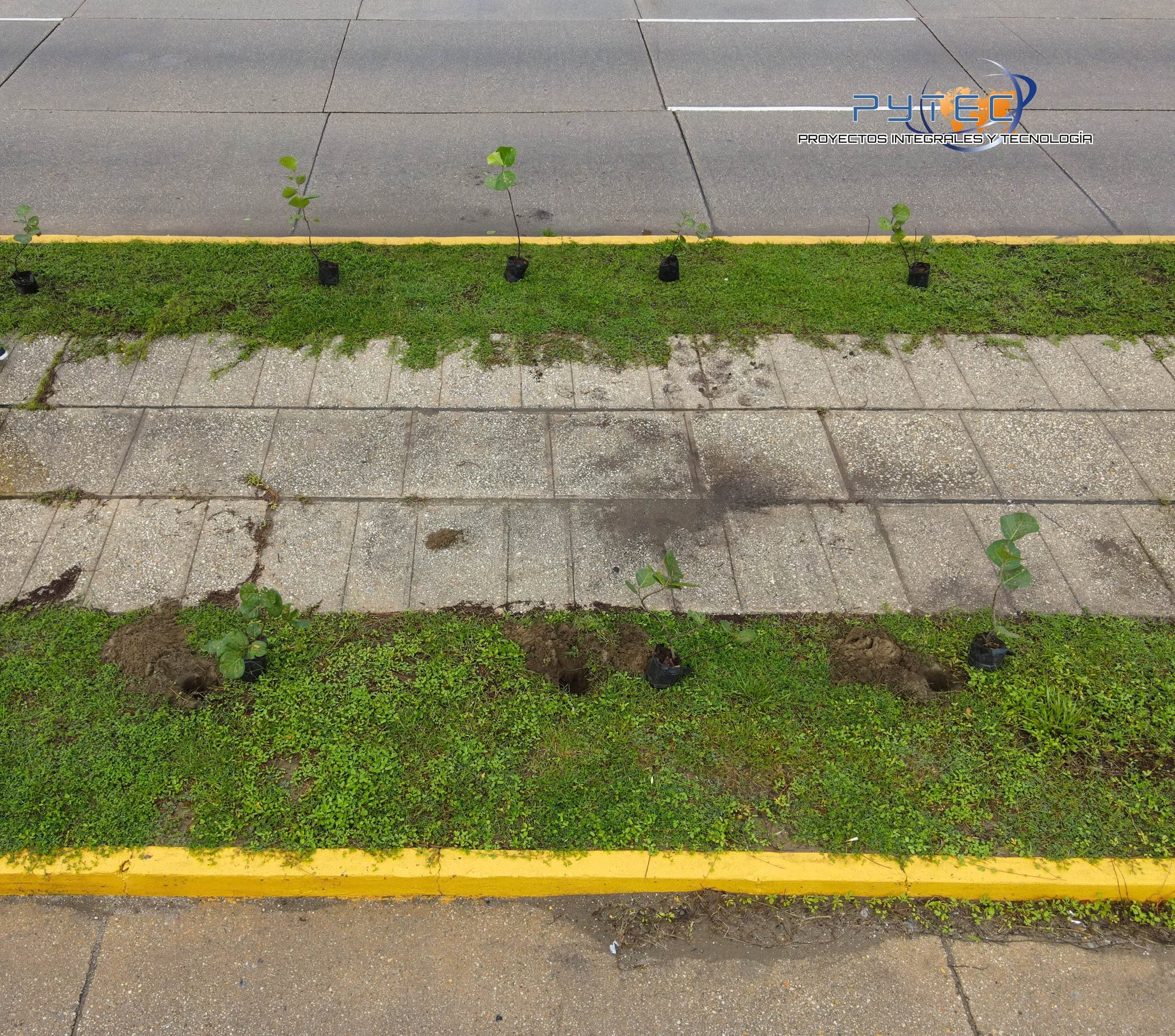 Proyecto PYTEC